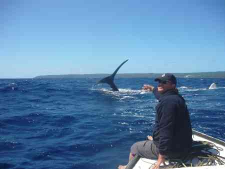 Tim plays with whale