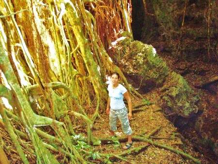 Carolynn standing next to a hugh Ovavatree in the rainforest of 'Eua island