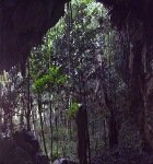 Description of image