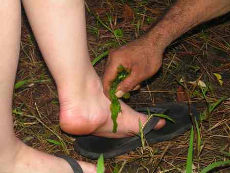 Guide giving Tongan med to visitors foot